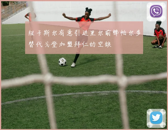 纽卡斯尔有意引进里尔前锋帕尔多替代戈登加盟拜仁的空缺